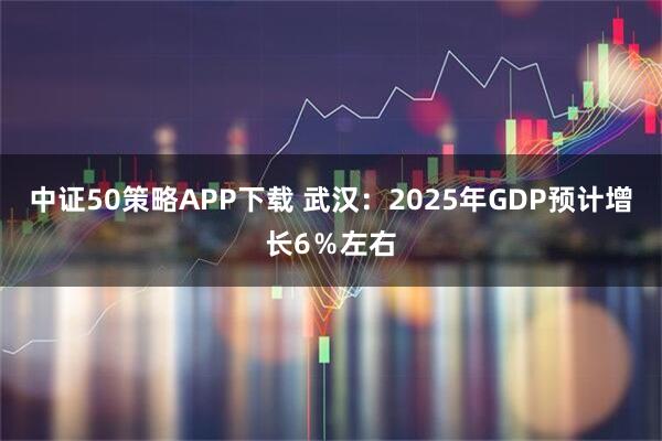 中证50策略APP下载 武汉：2025年GDP预计增长6％左右
